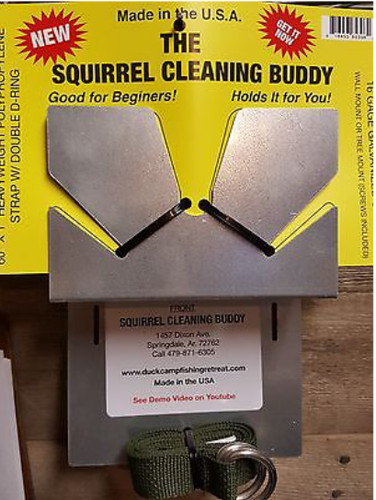 Squirrel cleaning buddy - squirrel,